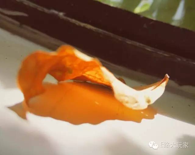 手機攝影俱樂部“金秋旅行手機攝影賽”獲獎名單出爐