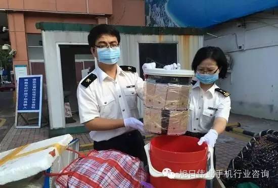 女子用水桶、臺秤夾藏49部iPhone過海關