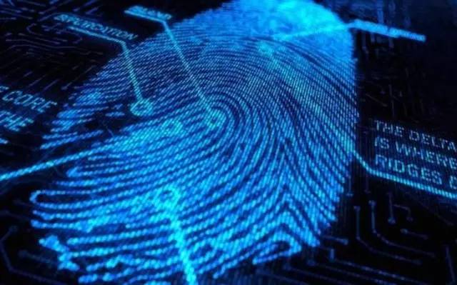 指紋識(shí)別技術(shù)