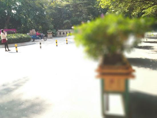 手機(jī)雙攝像頭原來區(qū)別是這么大