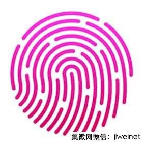 2021年生物識(shí)別市場規(guī)模逾300億