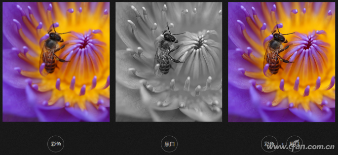 手機(jī)廠商為何青睞“群毆戰(zhàn)術(shù)”？