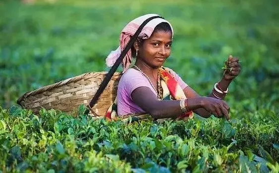 印度制造:中國企業(yè)的機(jī)遇和風(fēng)險