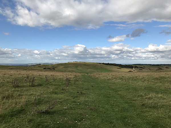 iPhone 7 Plus外景拍攝