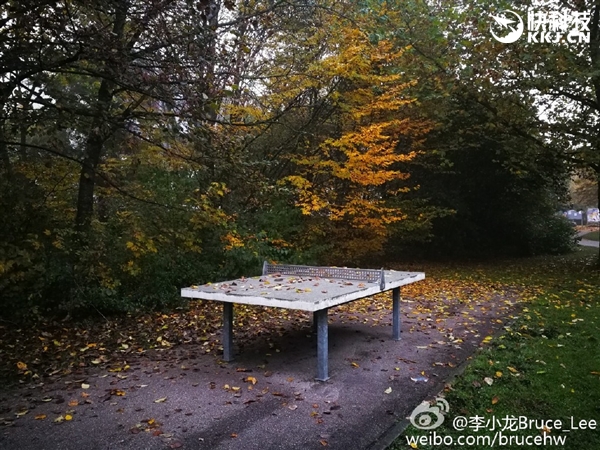 徠卡雙攝逆天！華為Mate 9實拍樣張首曝：給力