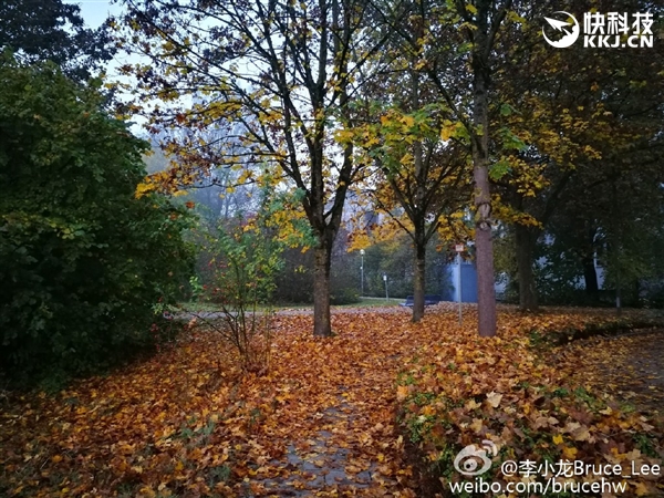 徠卡雙攝逆天！華為Mate 9實拍樣張首曝：給力