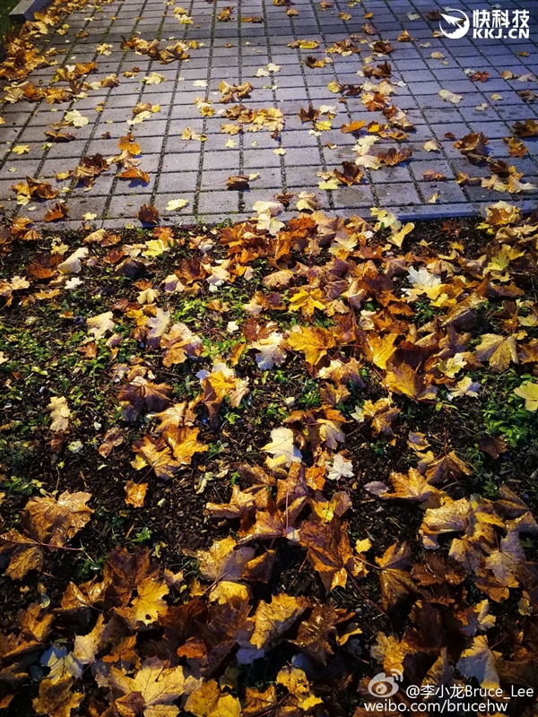 徠卡雙攝逆天！華為Mate 9實拍樣張首曝：給力