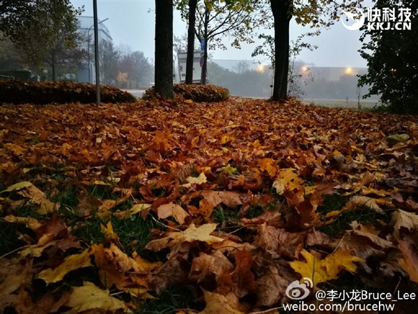 徠卡雙攝逆天！華為Mate 9實拍樣張首曝：給力