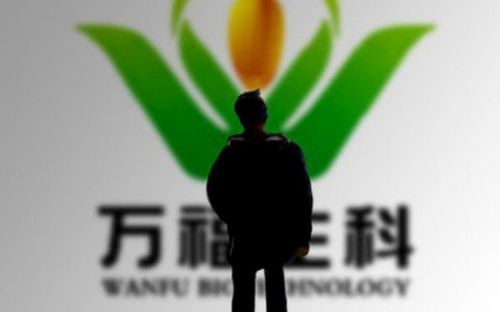 聯(lián)想控股竟成了一家造假上市公司的實控人 什么情況?