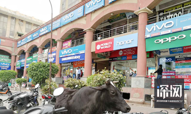 OV和小米們?nèi)绾螉Z取印度半壁江山？