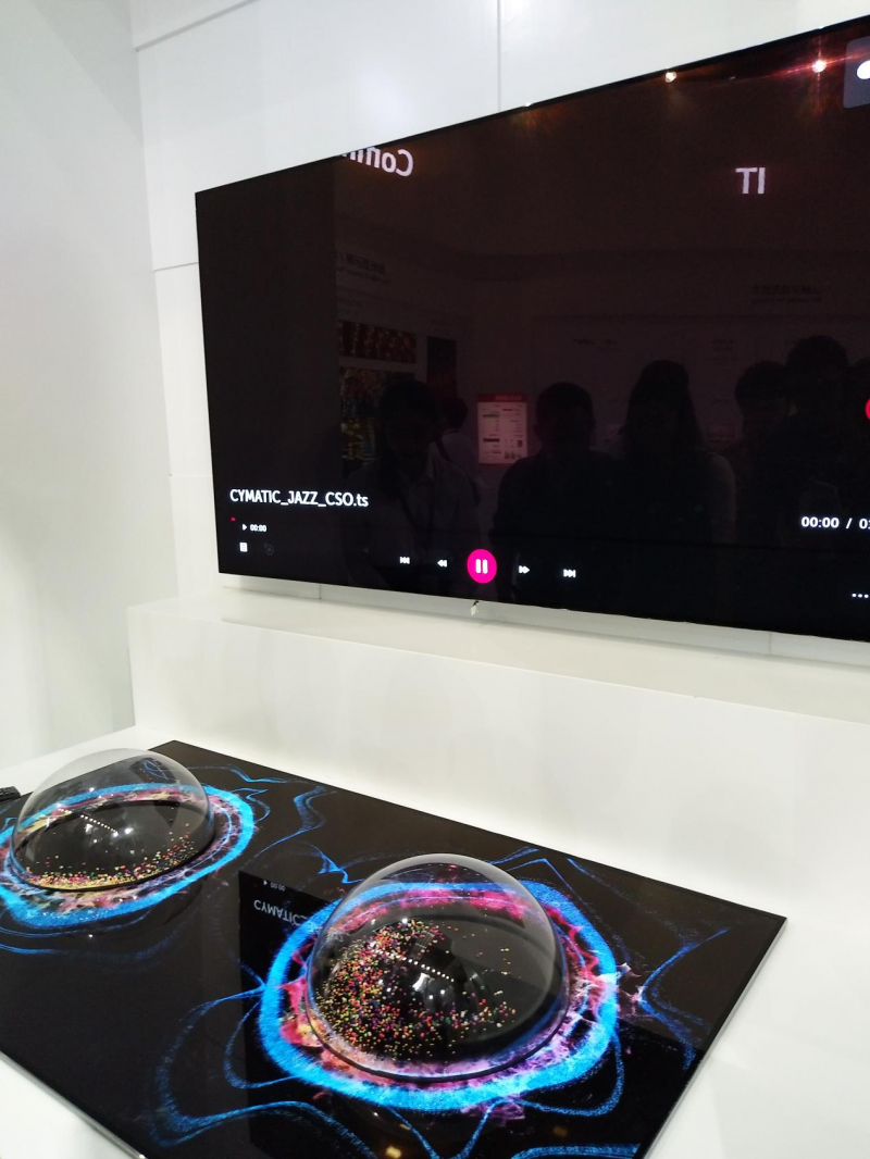 LG Display OLED