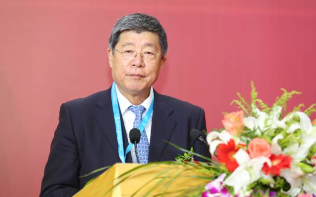 2017上海國(guó)際全觸與顯示展今日盛大開幕