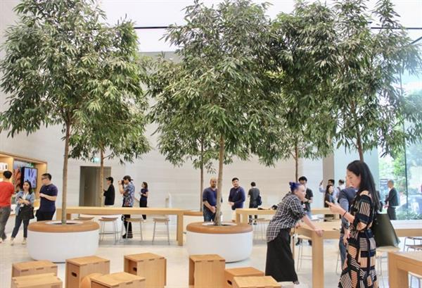 蘋果專賣店領(lǐng)跑零售業(yè) 每平方英尺店面創(chuàng)收5546美元