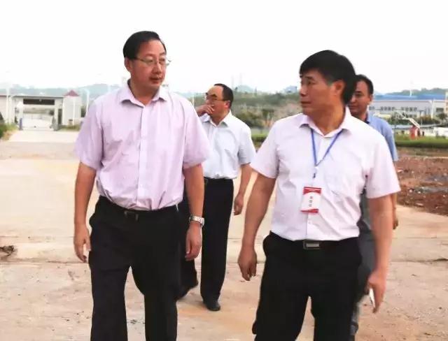 總投資20億元彩虹邵陽(yáng)特種玻璃項(xiàng)目開(kāi)工，將建4條蓋板玻璃生產(chǎn)線