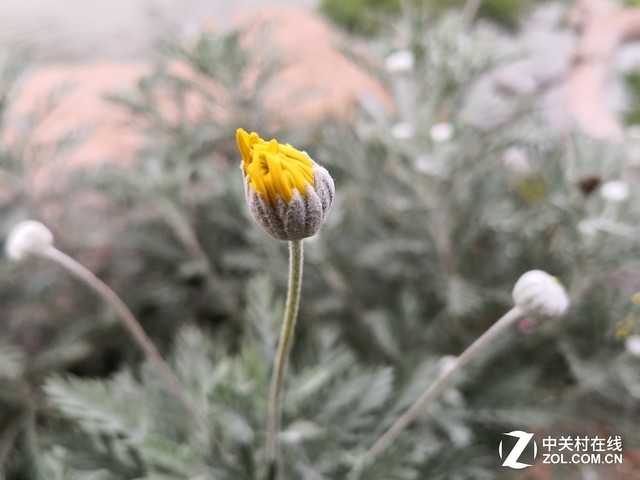 除了徠卡，華為用AI給手機(jī)拍照加了一個新的維度