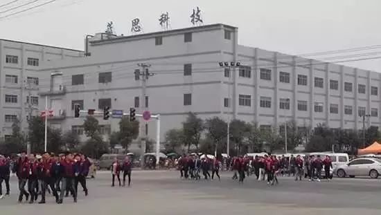 “她的工廠一旦停工，全球手機都得斷貨”，她是中國女首富，身價 500 億！