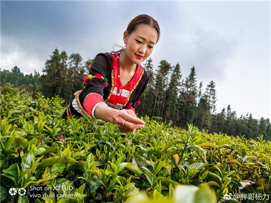 vivo&雷克薩斯騰沖極邊之旅，X21加持開啟智能出行新時代