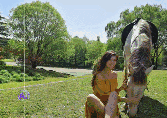 華為榮耀手機(jī)