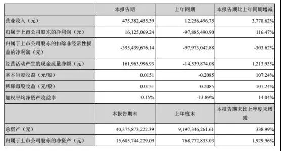 維信諾2018年上半年業(yè)績(jī)報(bào)表