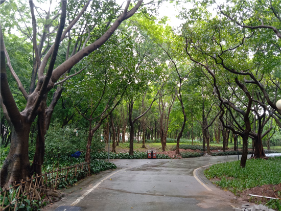 vivo Y81s拍照體驗(yàn)：千元機(jī)中的拍照利器