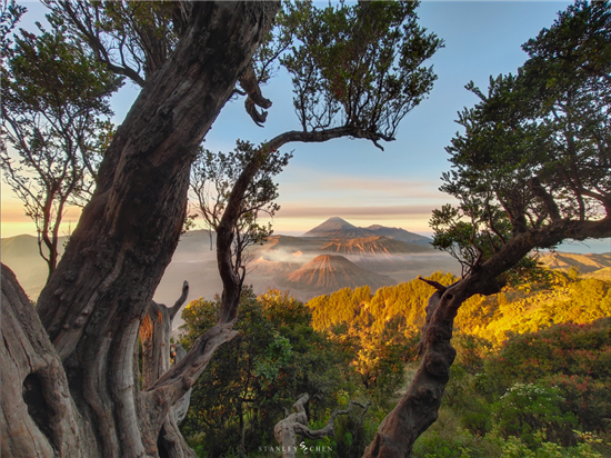 3D幻影極光漸變+靈動(dòng)水滴屏 vivo X23全面開售倒計(jì)時(shí)3天 