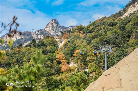 以夢為馬 不負韶光， 颯爽秋風(fēng)中開啟雷克薩斯&vivo智趣之旅