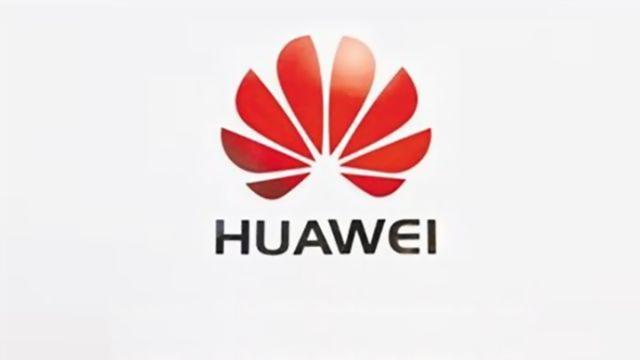 孟晚舟獲保釋 華為：期待美加能及時(shí)公正結(jié)束事件