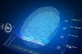 年末回顧：2018年指紋模組出貨量穩步增長(cháng) 價(jià)格不斷下探