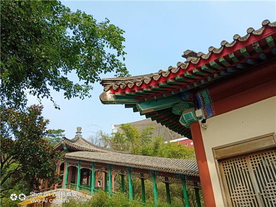 vivo Z3i 標(biāo)準(zhǔn)版