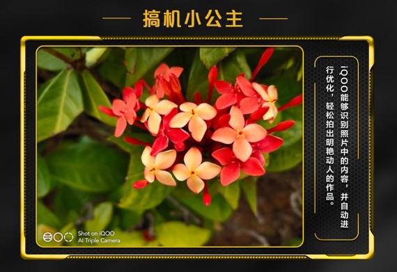 索尼旗艦級(jí)IMX363傳感器，iQOO拍照效果如何樣張會(huì)說話