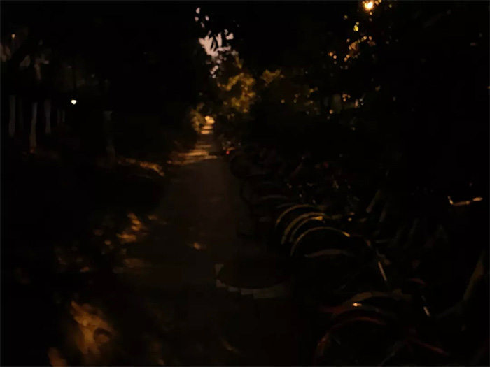 華為P30銀河樣張造假？攝影師公布樣張照：夜視儀名不虛傳