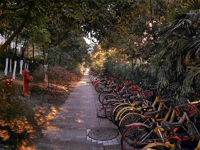 華為P30銀河樣張造假？攝影師公布樣張照：夜視儀名不虛傳