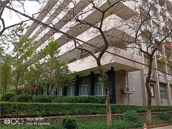 全新vivo S1上手：時(shí)尚、實(shí)力完美邂逅，體驗(yàn)超預(yù)期