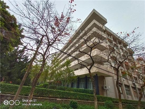 全新vivo S1上手：時(shí)尚、實(shí)力完美邂逅，體驗(yàn)超預(yù)期