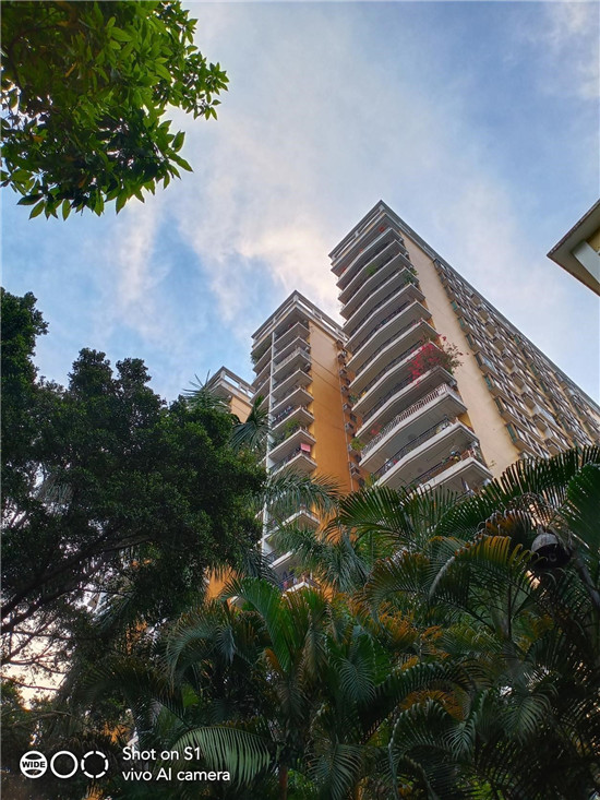 潮美外觀+全新拍照體驗！vivo S1寵愛粉照亮你的美