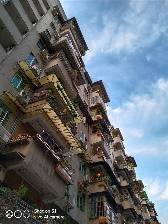 潮美外觀+全新拍照體驗！vivo S1寵愛粉照亮你的美