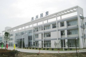 出售資產(chǎn)自救 勝利精密擬售德樂(lè)科技100%股權(quán)