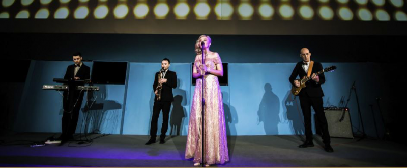 2019國際新型顯示技術(shù)展