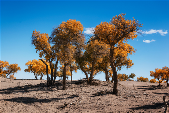 探尋不止，逐路G7 帶上vivo Z5踏上“中國(guó)最美公路”體驗(yàn)行