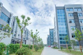 中期扭虧為盈至1.81億元 丘鈦科技股價(jià)漲7.93%