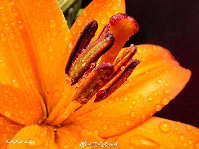 iQOO Z3重磅發(fā)布，三大性能刷新千元性能入門機(jī)標(biāo)準(zhǔn)