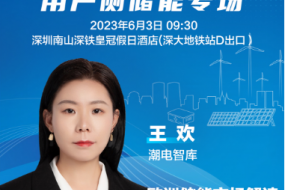 大咖來(lái)襲|潮電智庫王歡邀您參會(huì )，帶來(lái)歐洲儲能市場(chǎng)解讀